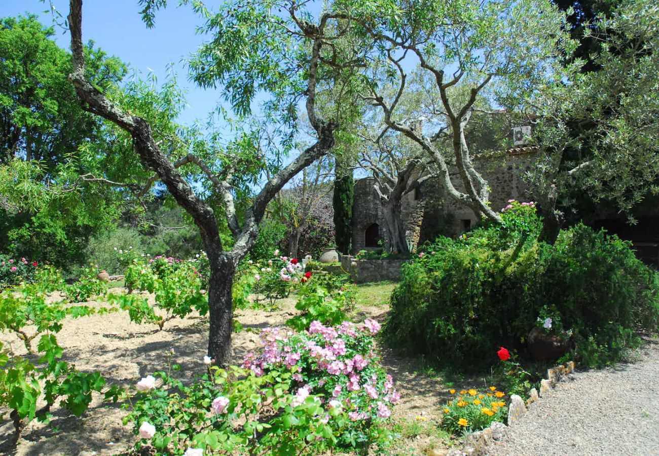Finca in Fonteta - LA MASIA 