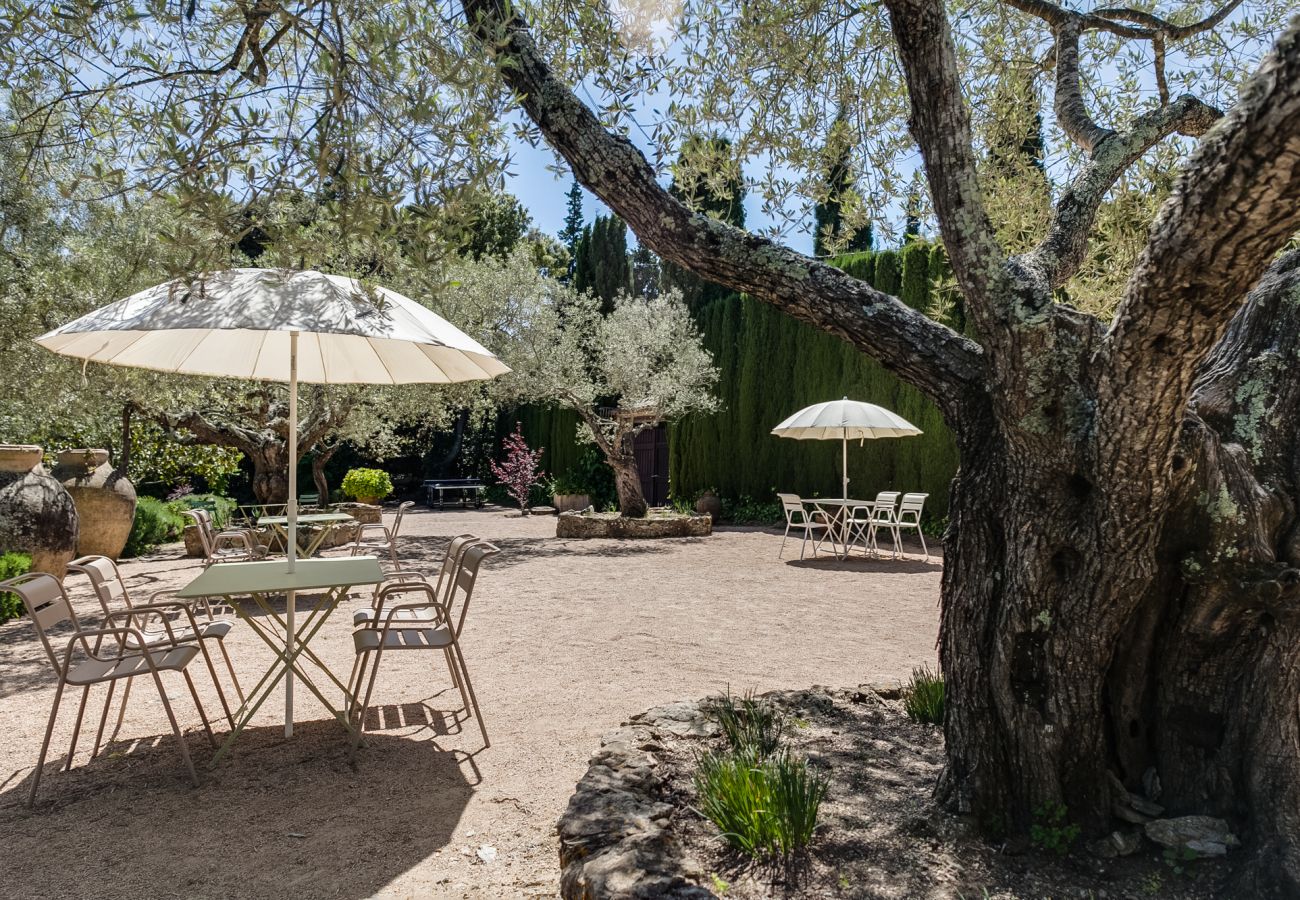 Finca in Fonteta - LA MASIA 