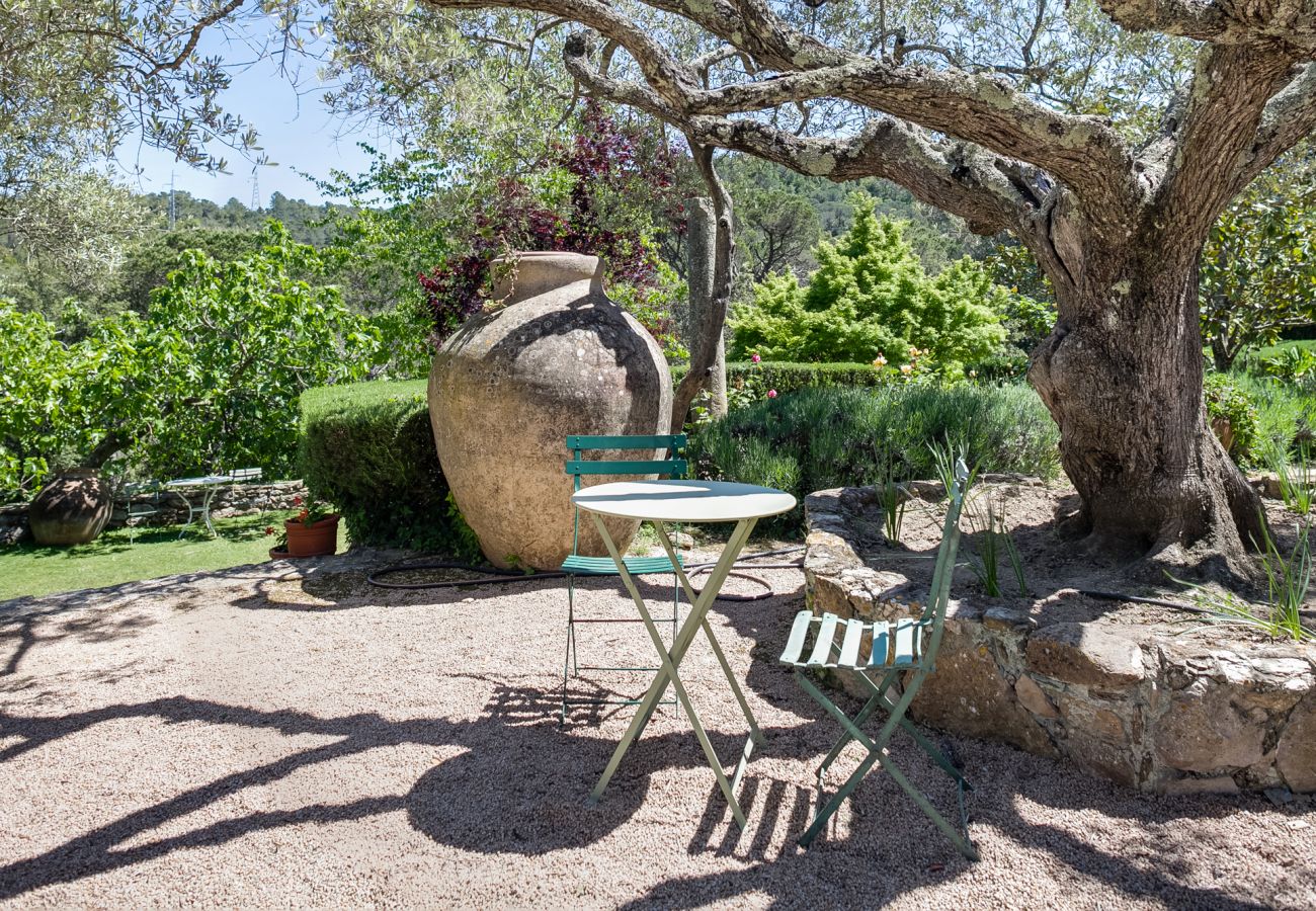 Finca in Fonteta - LA MASIA 