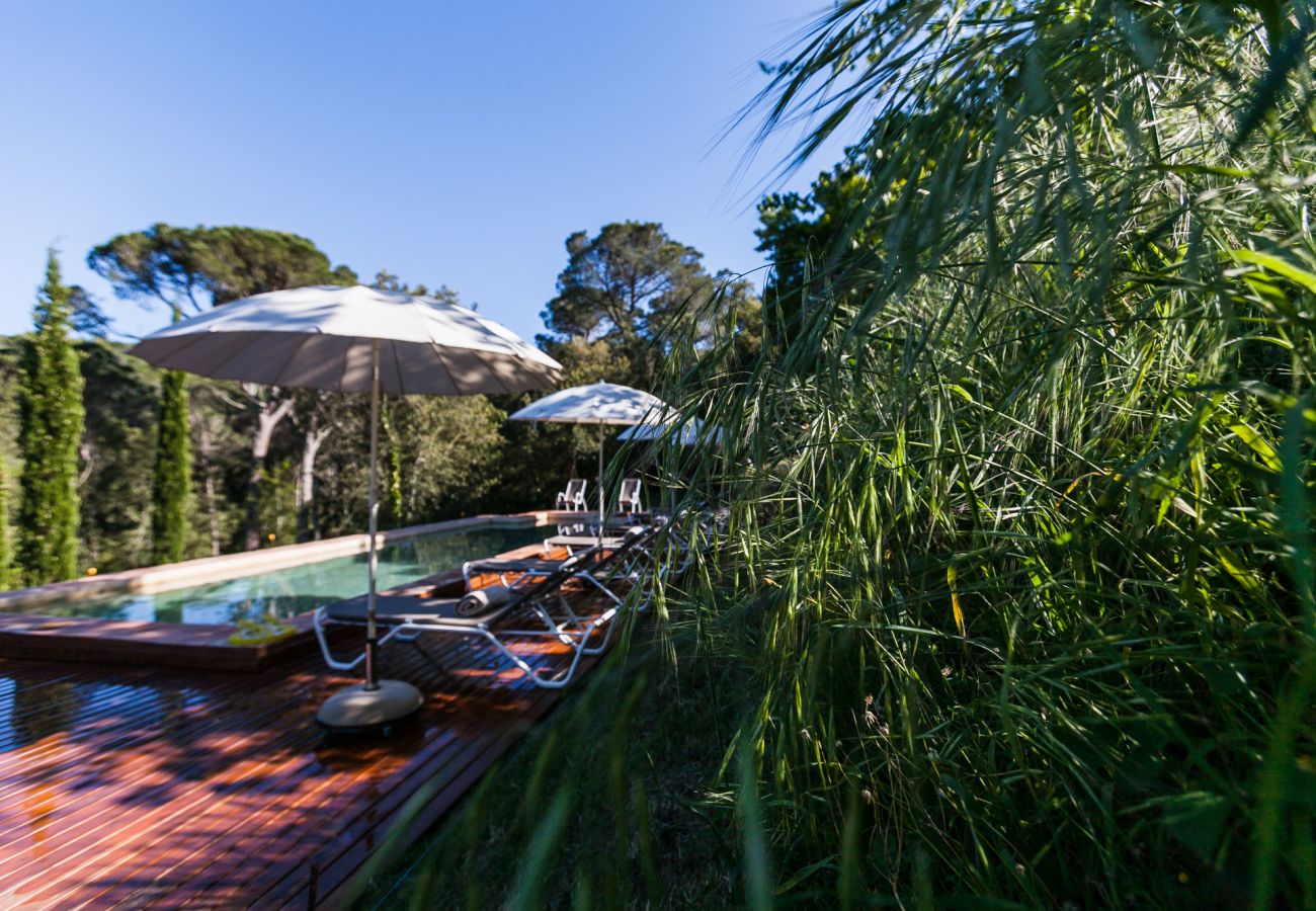 Finca in Fonteta - LA MASIA 