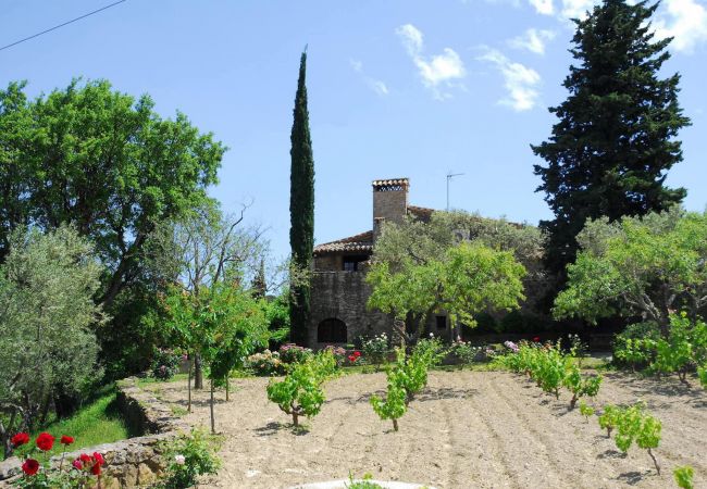Country house in Fonteta - LA MASIA 